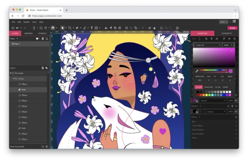 WHICH SOFTWARE IS BEST FOR VECTOR DESIGNING?