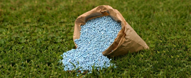 Forecasting 2025: Global Complex Fertilizers Market trends, share, size, growth, opportunities, and forecasts