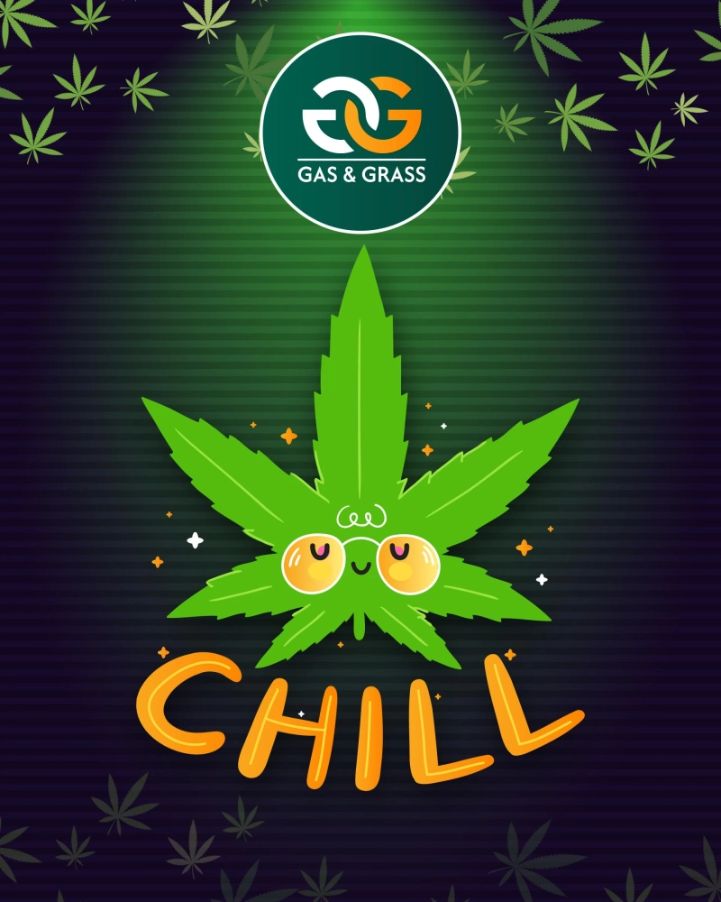 Recreational vs. Medical Marijuana: What’s the Difference?