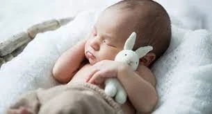 Best Surrogacy Centers in Delhi with High Success Rates