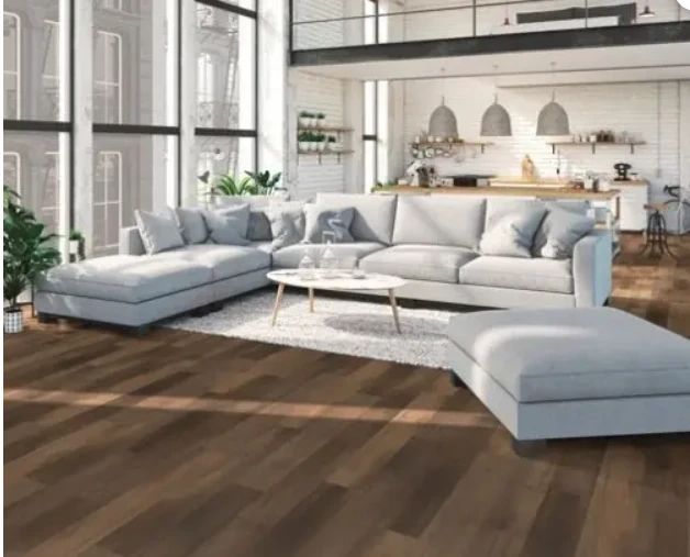 How to Get the Best Carpet Installation in Auckland - CarpetGo