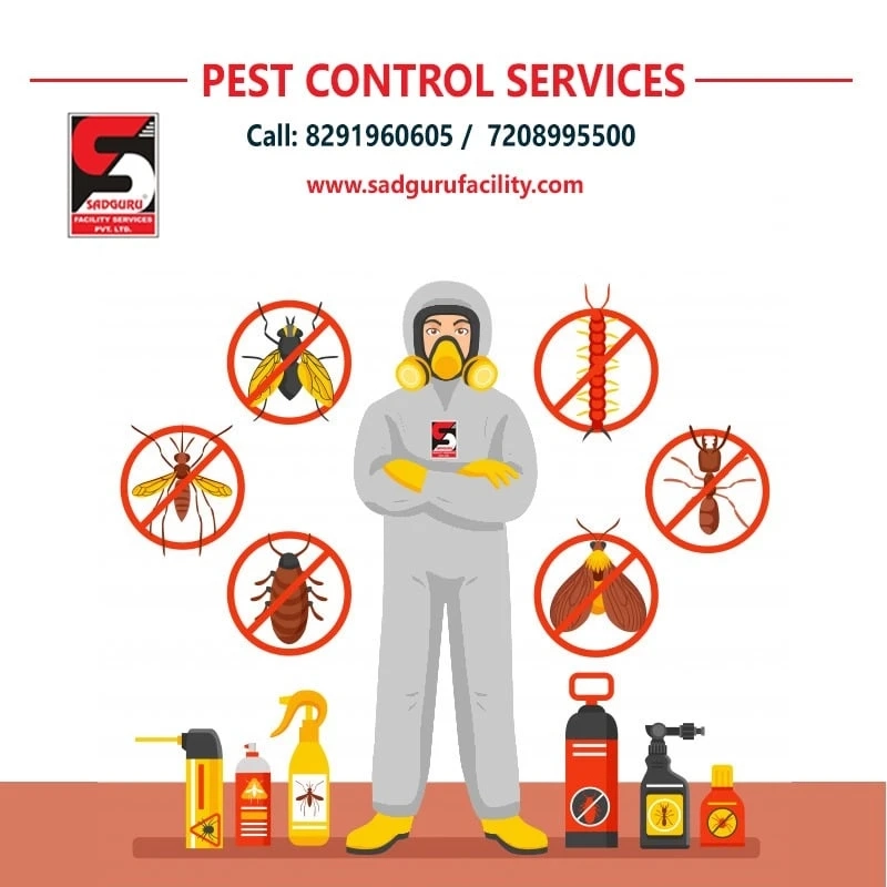 Pest Control Services in Kandivali - Sadguru Pest Control