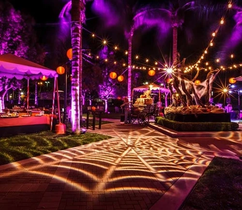 Orchestrate the Spookiest Halloween Party Miami with Ease