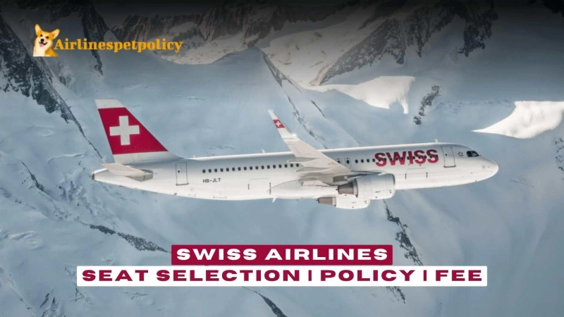 Swiss Airlines Seat Selection | Policy & Fee