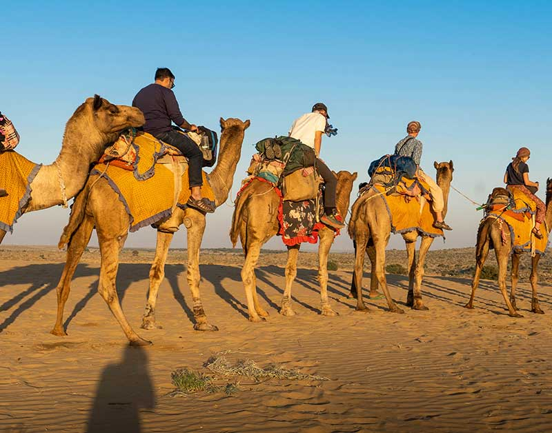 Rajasthan Thar Desert Adventure Experiences Guide