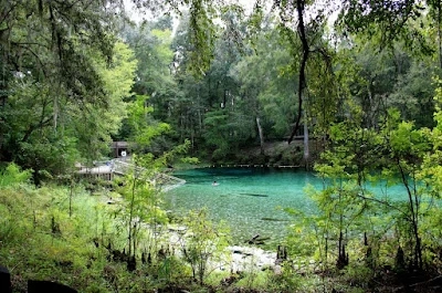 Big Bend Florida