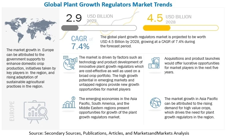 Asia Pacific to Lead the Plant Growth Regulators Market in Coming Years