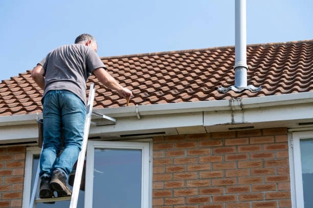 Property Manager's Guide to Roof Cleaning