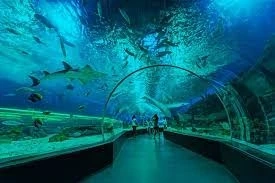 Top 6 Honeymoon Destinations in World