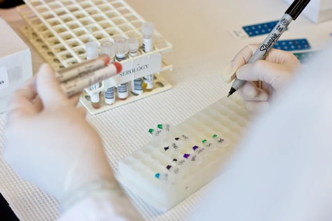 Global Veterinary Immunodiagnostics Market By Product: Analyzers, Consumables
