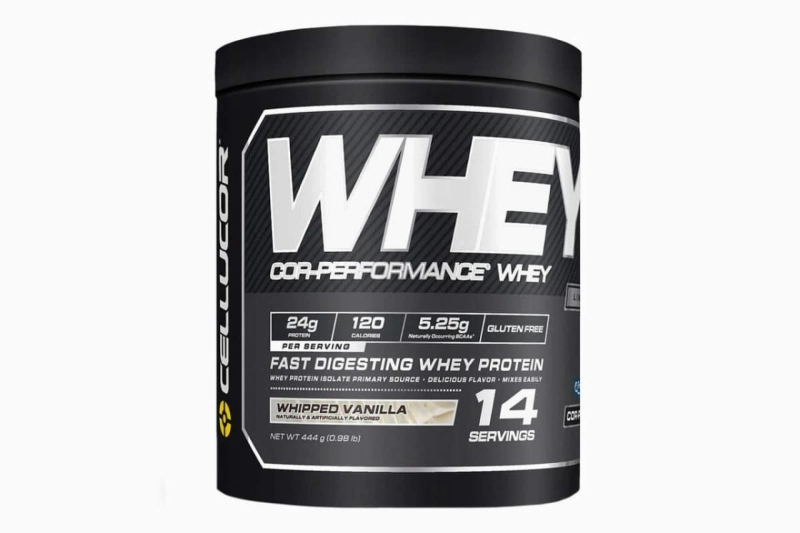 Why Everybody Is Talking About Best protein powder reviews