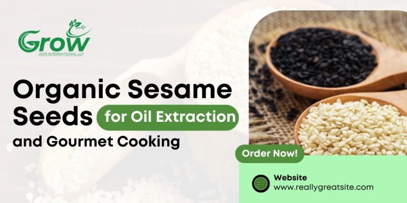 Organic Sesame Seeds for Oil Extraction and Gourmet Cooking