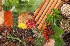 Indian Feed Additives Market Analysis By Report, Forecast, Research and Demand Till 2027