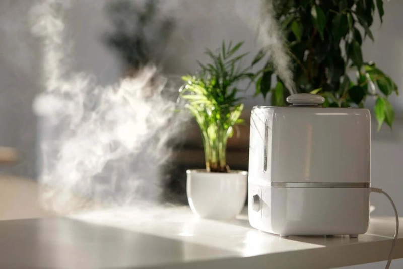 The Evolving Landscape of the Air Purifier & Freshener Market by 2024