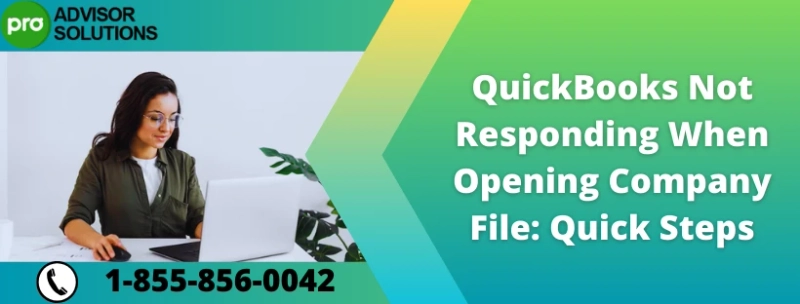 Troubleshooting QuickBooks: Company File Not Responding Error Solutions