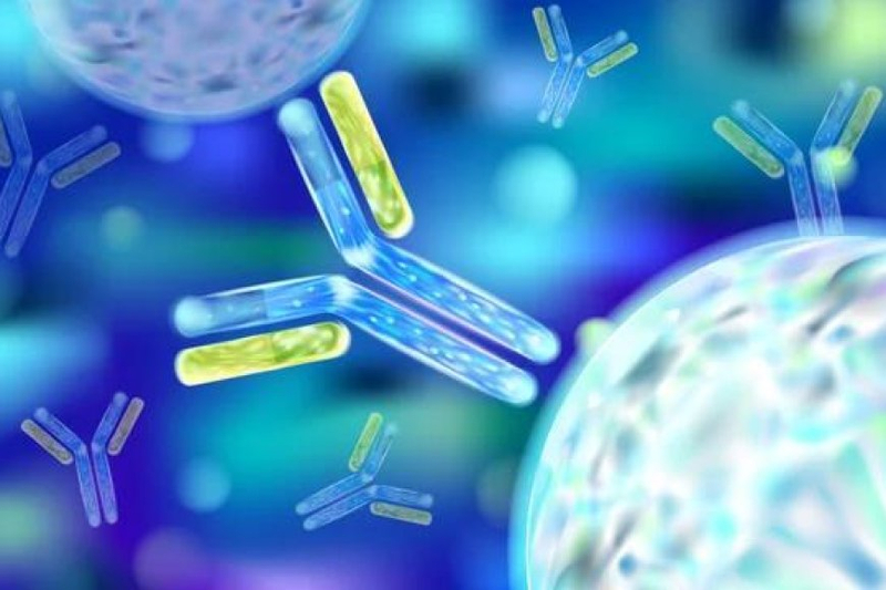 Unlocking the Secrets of Analytical Labs: Unleash the Power of MSD ELISA!
