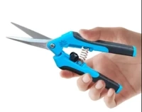 Scissors Work Best for Marijuana Trimming | LTD Trimming