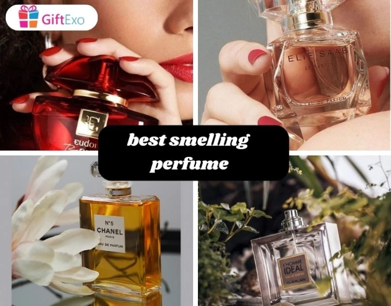Best Luxury Perfume for women and men