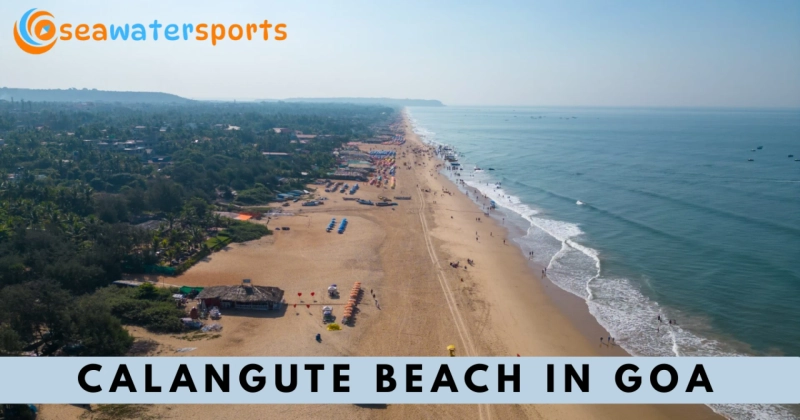 Calangute Beach in Goa: A Perfect Blend of Relaxation and Adventure
