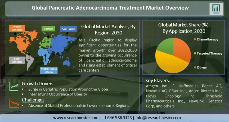 Pancreatic Adenocarcinoma Treatment Market & Future Report, Scopes Worldwide Demand By 2030