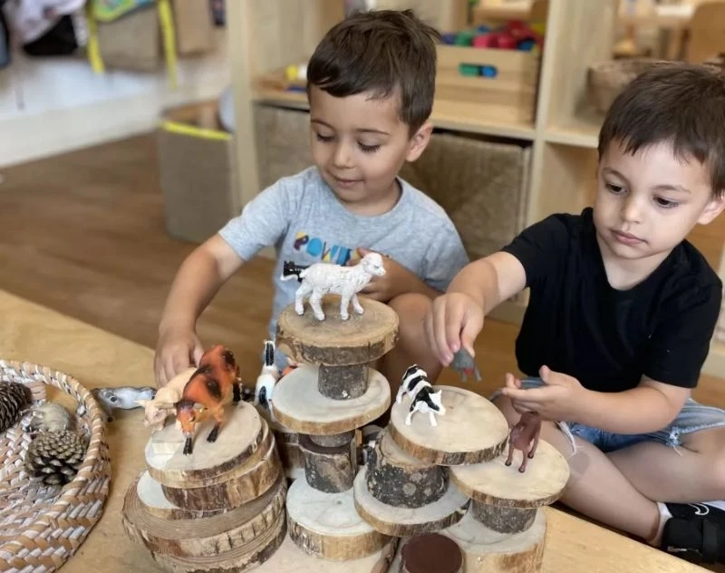 Why KLA Schools is The First Choice for Summer Camp in Naperville West IL