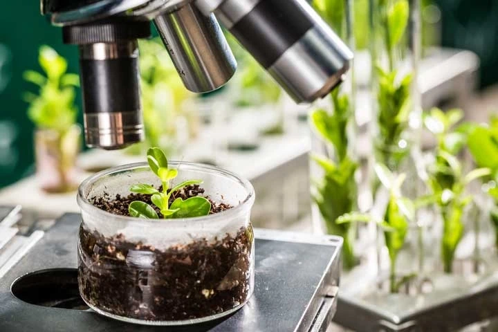 Plant-based Biologics Market : Current Trends and Future Opportunities