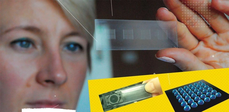 Biochips Market Size, Share, Trends and Industry Analysis, Forecast 2017-2025