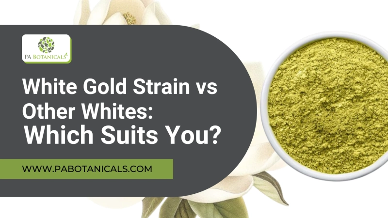White Gold Strain vs Other Whites: Which Suits You?