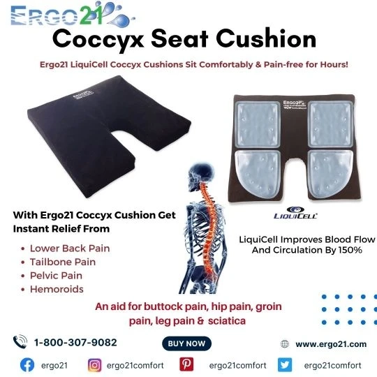 All You Need to Know about Coccydynia and Its Treatment Using Coccyx Pain Seat Cushion