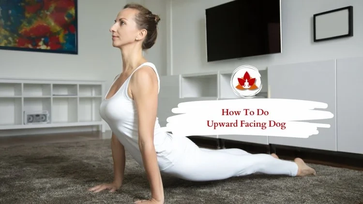 Upward Facing Dog: A Complete Guide to Urdhva Mukha Svanasana
