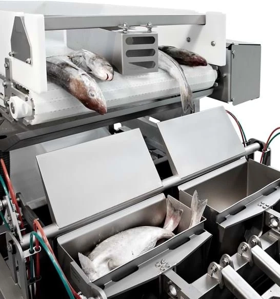 Seafood Processing Equipment Market Size, Top Companies, Share, Growth and Outlook During 2023-2028