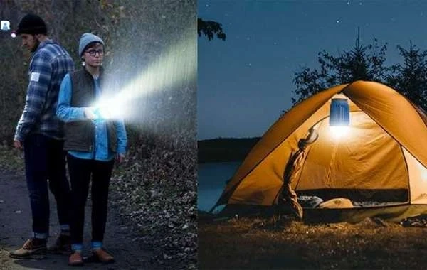 Bug Zapper Reviews