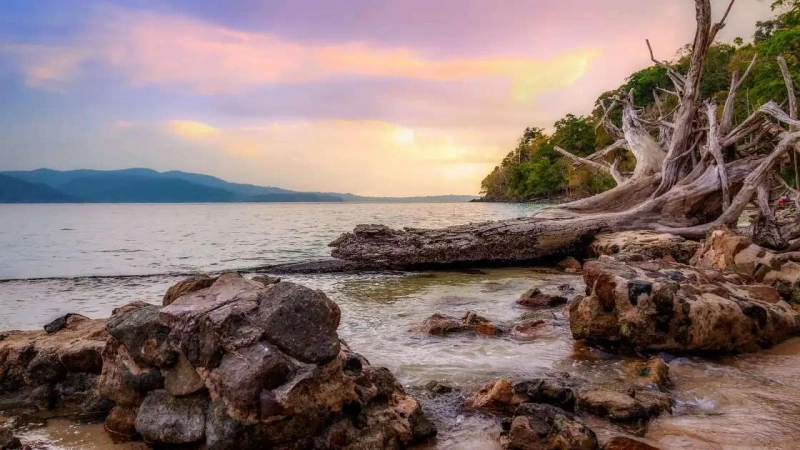 How to Reach Andaman and Nicobar Islands: A Complete Travel Guide from Kolkata