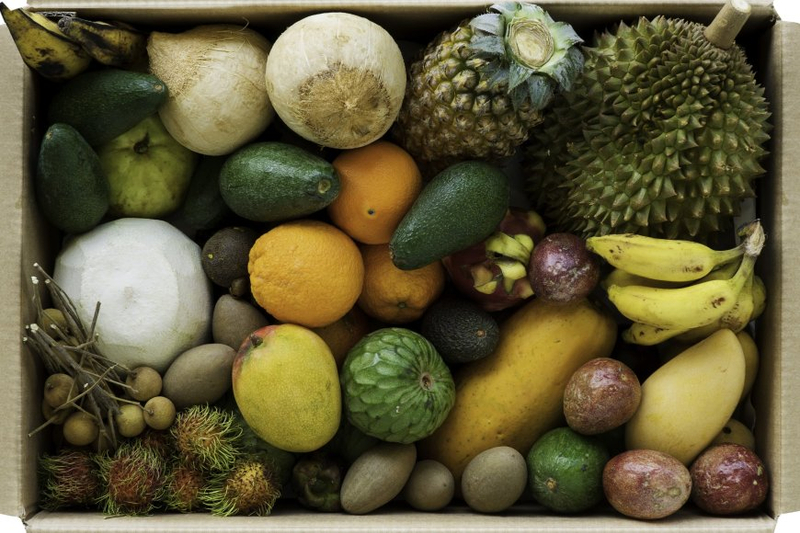 JurassicFruit: A Marvelous Diversity of Tropical, Rare, and Organic Fruits