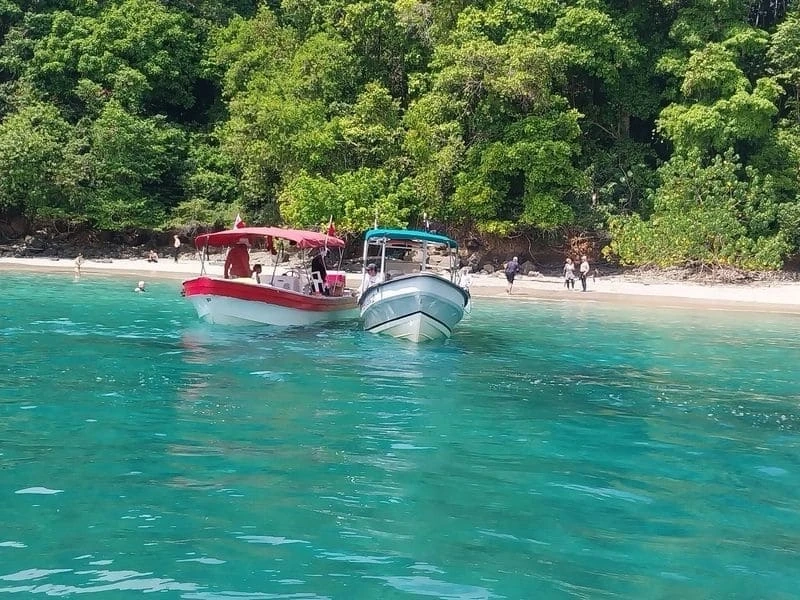 Panama Sharks: Dive Destinations for Experienced Divers