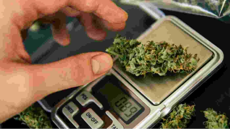 Everything You Need to Know About Buying an 8th of Weed