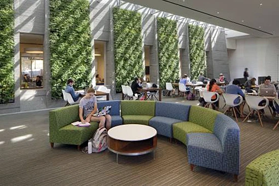 Is It Worth Hiring An Restaurant Interior Designer Dubai?