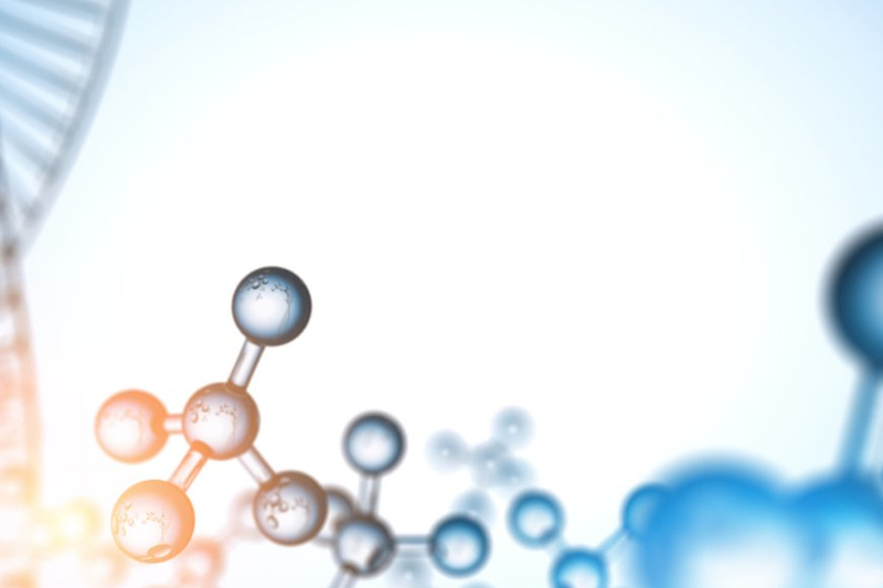 Advancing Cancer Research: Unraveling Insights with Cell Line Derived Xenograft Models
