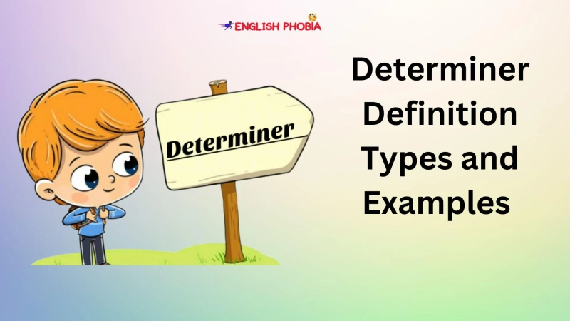 Determiner Definition Types and Examples