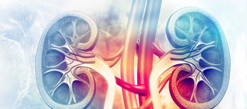 What is End Stage Renal Failure?