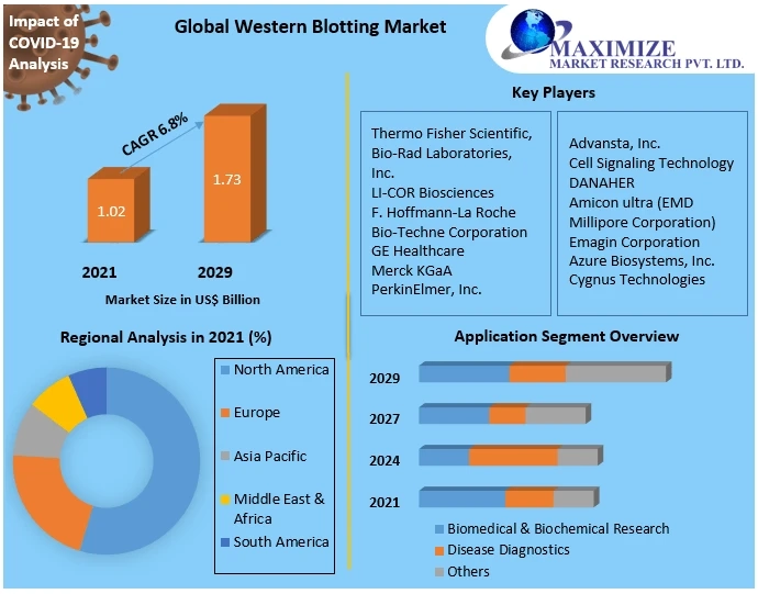 Western Blotting Market Research Statistics, Business Strategy And Industry Share