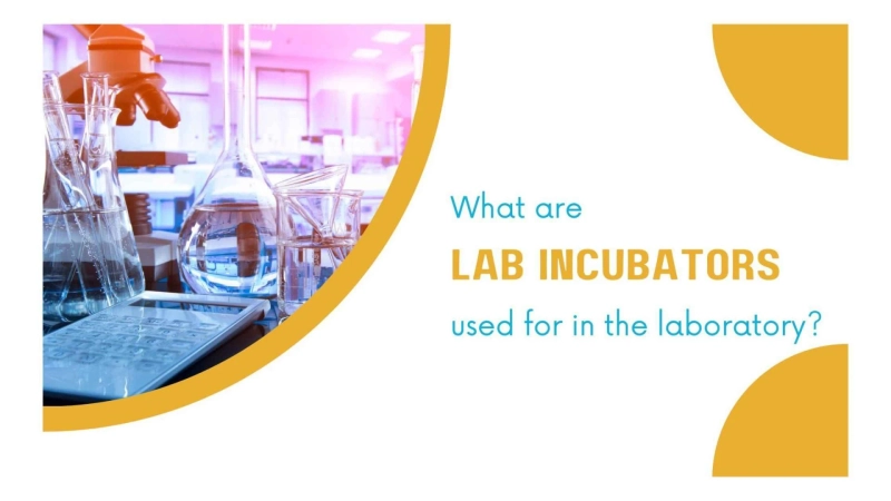 What are lab incubators used for in the laboratory?