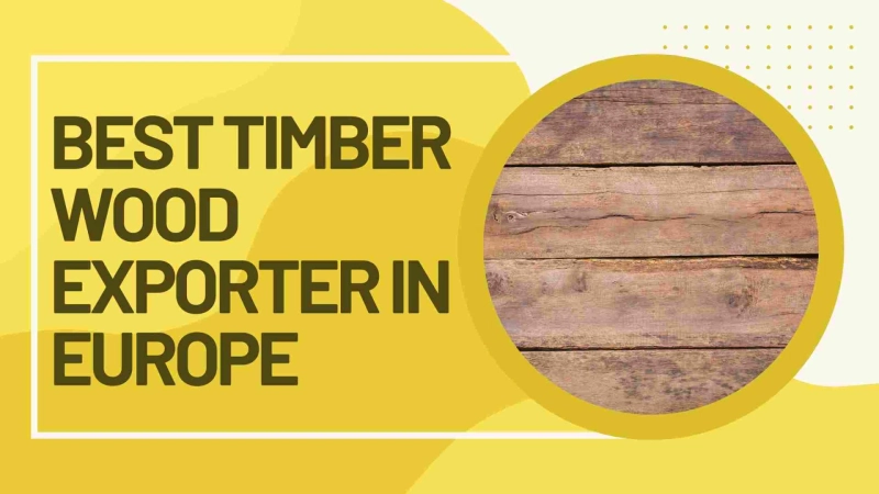 Best Timber Wood Exporter In Europe