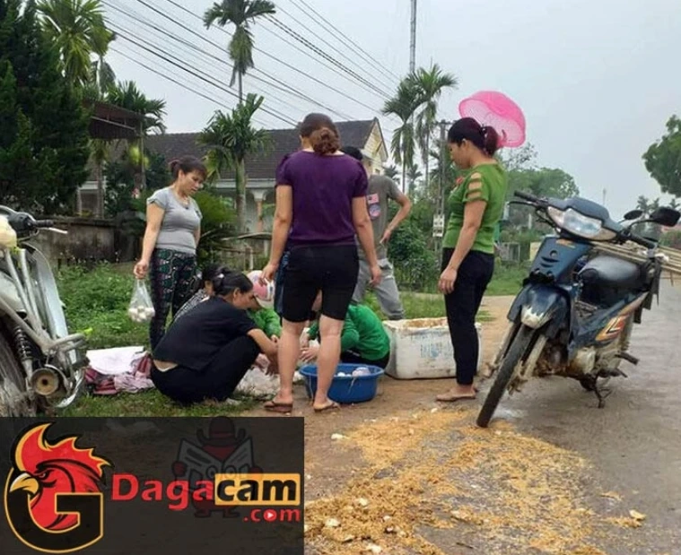 Người bán trứng gặp nạn, tuyệt nhiên không hề có ai “hôi trứng”