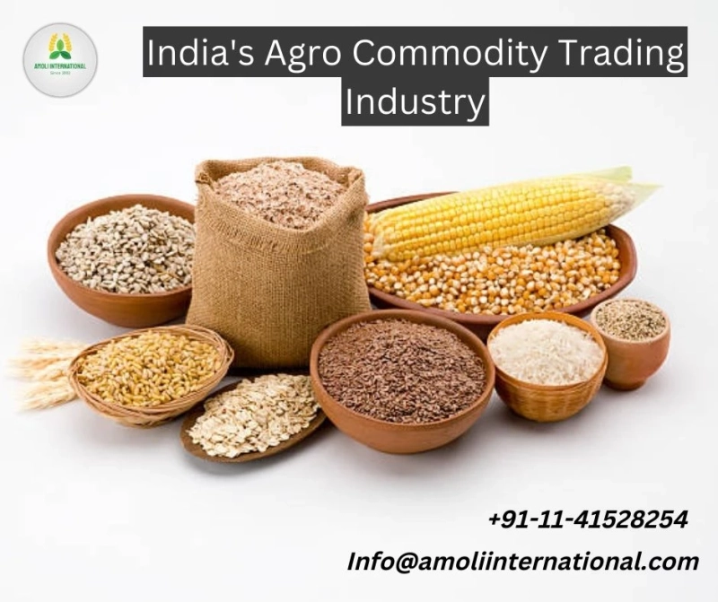 India's Agro Commodity Trading Industry