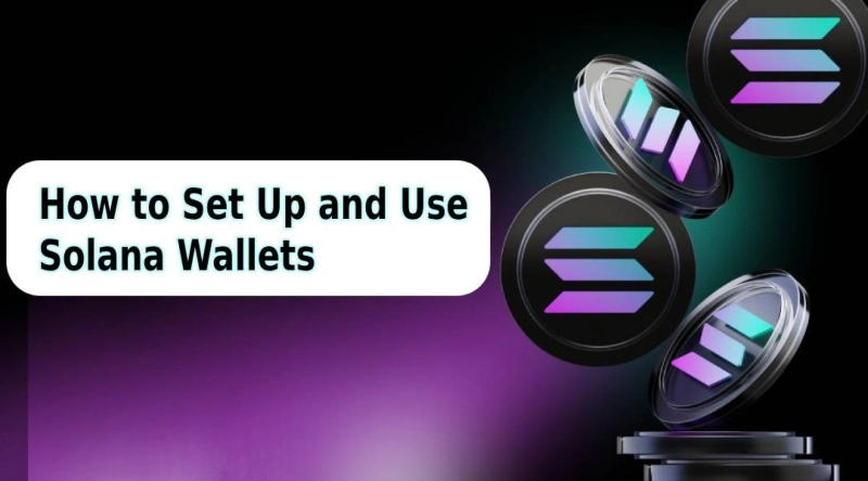 Setting Up and Using Solana Wallets: A Beginner’s Guide