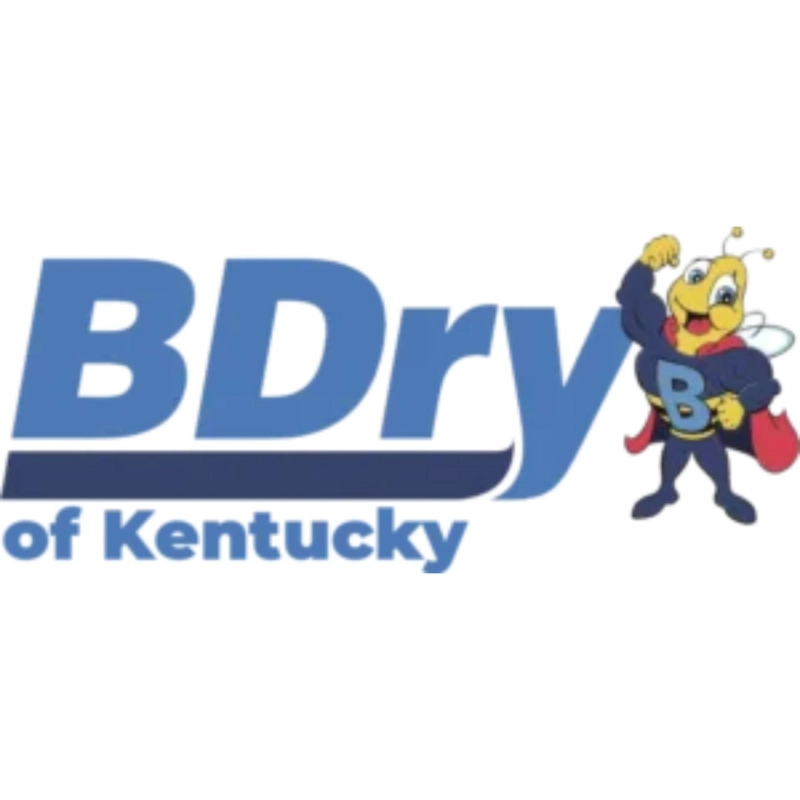 Keeping Your Lexington Basement Dry: Essential Waterproofing Services and Local Experts