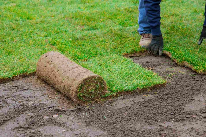 Sod Installation Services Near Me: Professional Lawn Installation in Vancouver