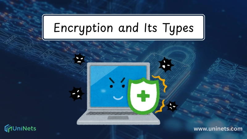 What Are the Types of Encryption in Cyber Security?