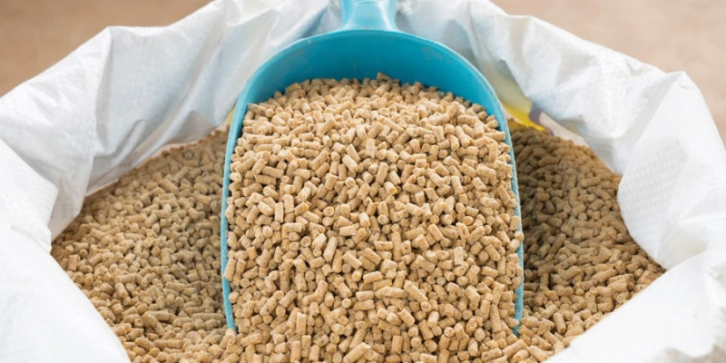 Ruminant Feed Market Size and Growth Forecast : Top Manufacturers,Future Developments,Regional Analysis.